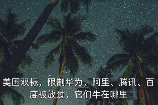 美國雙標，限制華為，阿里、騰訊、百度被放過，它們牛在哪里