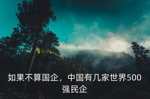 如果不算國企，中國有幾家世界500強民企