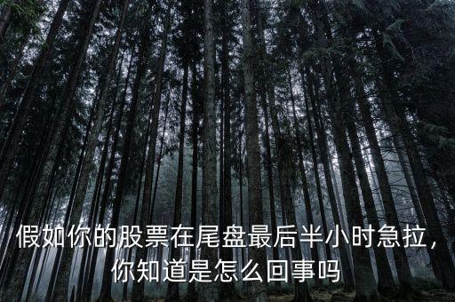 假如你的股票在尾盤(pán)最后半小時(shí)急拉，你知道是怎么回事嗎