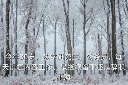 今年30歲，法學研究生，公務(wù)員，每天重復(fù)內(nèi)容工作，是繼續(xù)留下還是辭職下海