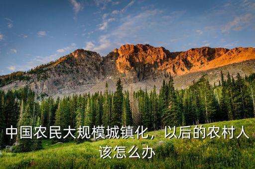 中國(guó)農(nóng)民大規(guī)模城鎮(zhèn)化，以后的農(nóng)村人該怎么辦