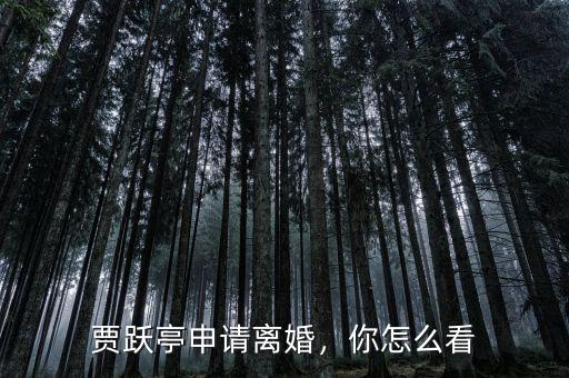 賈躍亭申請(qǐng)離婚，你怎么看