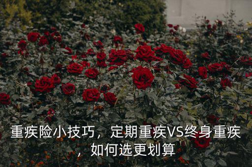 重疾險小技巧，定期重疾VS終身重疾，如何選更劃算