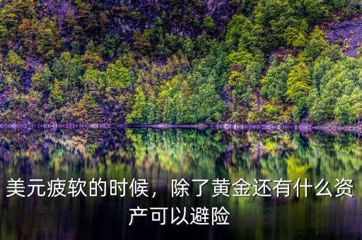 美元疲軟的時(shí)候，除了黃金還有什么資產(chǎn)可以避險(xiǎn)