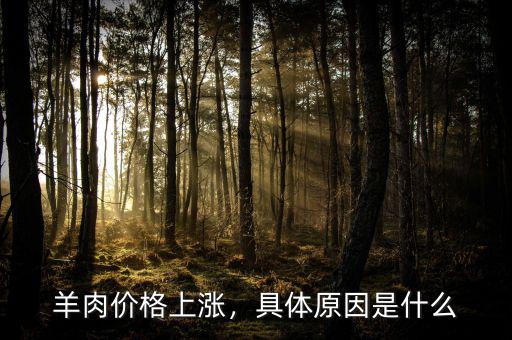 羊肉價格上漲，具體原因是什么