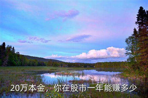 20萬本金，你在股市一年能賺多少