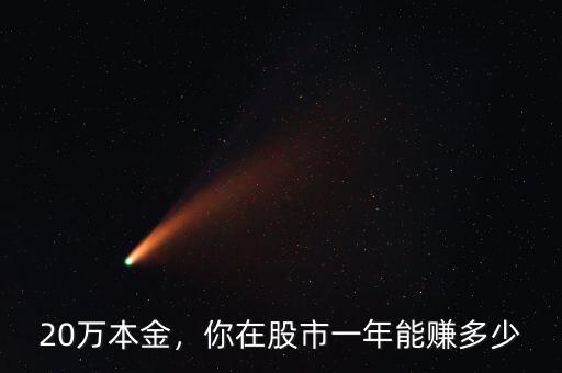 20萬本金，你在股市一年能賺多少