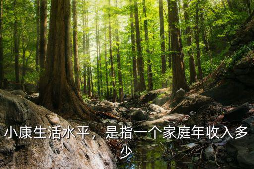 小康生活水平，是指一個(gè)家庭年收入多少