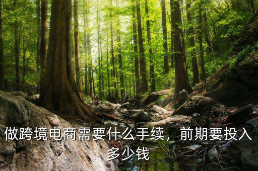 做跨境電商需要什么手續(xù)，前期要投入多少錢