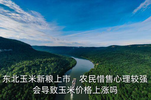 東北玉米新糧上市，農(nóng)民惜售心理較強(qiáng)會(huì)導(dǎo)致玉米價(jià)格上漲嗎