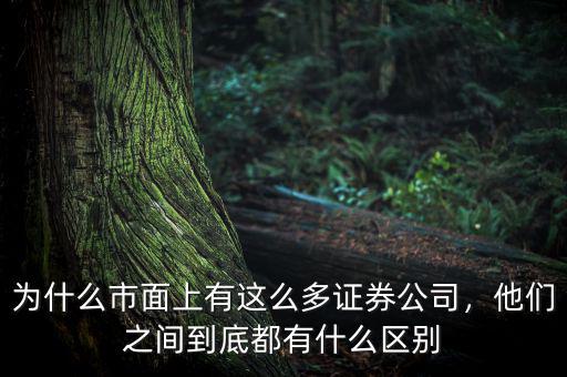 為什么市面上有這么多證券公司，他們之間到底都有什么區(qū)別