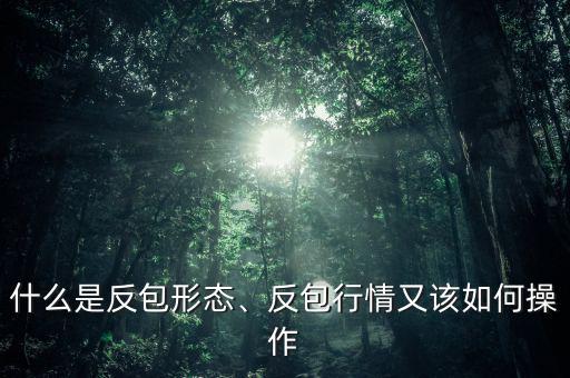 什么是反包形態(tài)、反包行情又該如何操作
