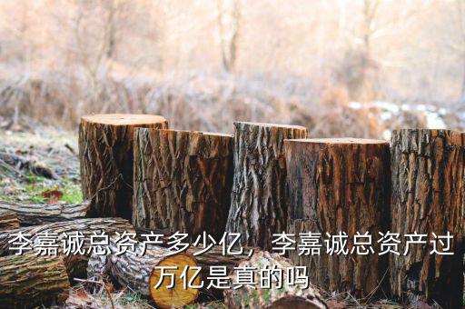 李嘉誠(chéng)總資產(chǎn)多少億，李嘉誠(chéng)總資產(chǎn)過(guò)萬(wàn)億是真的嗎