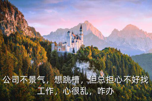公司不景氣，想跳槽，但總擔(dān)心不好找工作，心很亂，咋辦