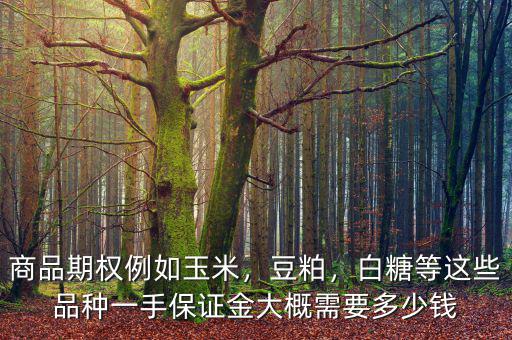 商品期權(quán)例如玉米，豆粕，白糖等這些品種一手保證金大概需要多少錢