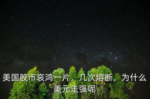 美國股市哀鴻一片，幾次熔斷，為什么美元走強呢