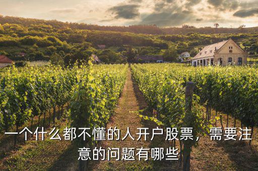 一個(gè)什么都不懂的人開戶股票，需要注意的問題有哪些