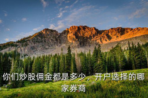 你們炒股傭金都是多少，開(kāi)戶選擇的哪家券商