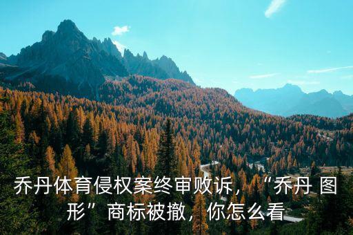 喬丹體育侵權(quán)案終審敗訴，“喬丹 圖形”商標(biāo)被撤，你怎么看