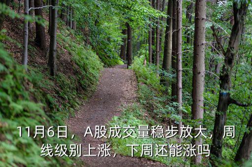 11月6日，A股成交量穩(wěn)步放大，周線級別上漲，下周還能漲嗎