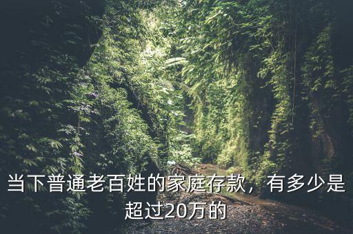 當(dāng)下普通老百姓的家庭存款，有多少是超過(guò)20萬(wàn)的