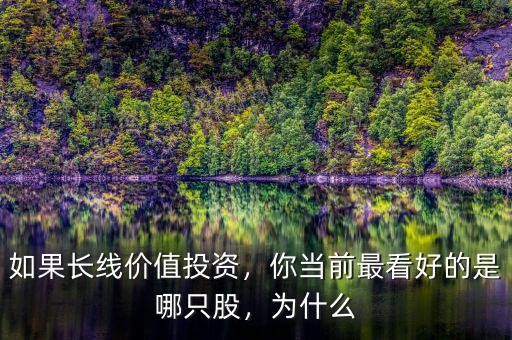 如果長線價值投資，你當(dāng)前最看好的是哪只股，為什么