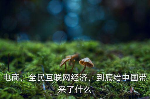 電商，全民互聯(lián)網(wǎng)經(jīng)濟(jì)，到底給中國(guó)帶來(lái)了什么