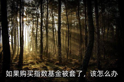 如果購買指數(shù)基金被套了，該怎么辦