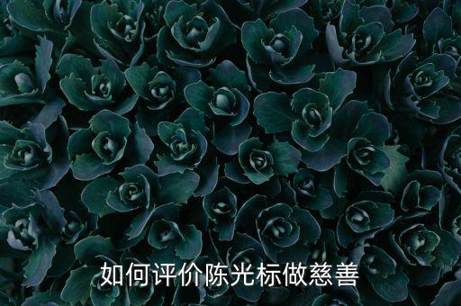 為什么說陳光標暴力慈善,陳光標是真慈善還是假慈善
