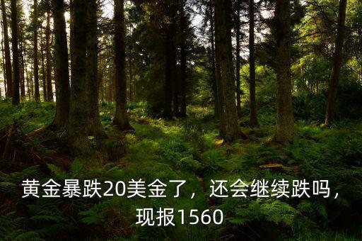 黃金暴跌20美金了，還會繼續(xù)跌嗎，現(xiàn)報1560