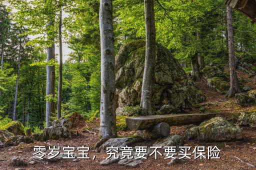 零歲寶寶，究竟要不要買保險