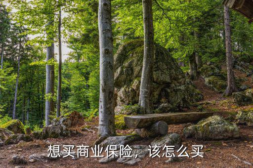 想買商業(yè)保險，該怎么買