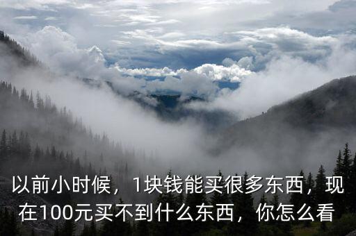 以前小時(shí)候，1塊錢(qián)能買(mǎi)很多東西，現(xiàn)在100元買(mǎi)不到什么東西，你怎么看