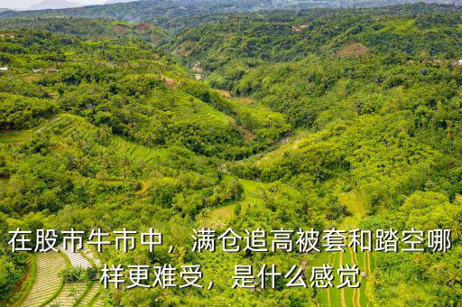 在股市牛市中，滿(mǎn)倉(cāng)追高被套和踏空哪樣更難受，是什么感覺(jué)