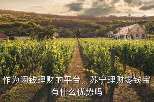 作為閑錢(qián)理財(cái)?shù)钠脚_(tái)，蘇寧理財(cái)零錢(qián)寶有什么優(yōu)勢(shì)嗎