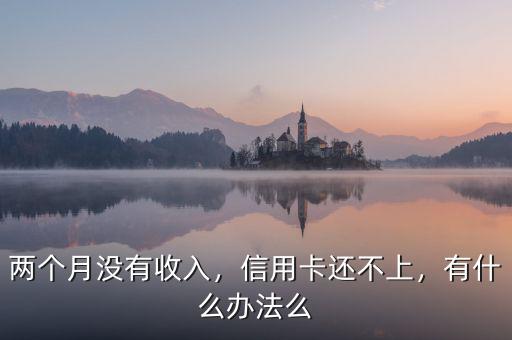 兩個(gè)月沒(méi)有收入，信用卡還不上，有什么辦法么
