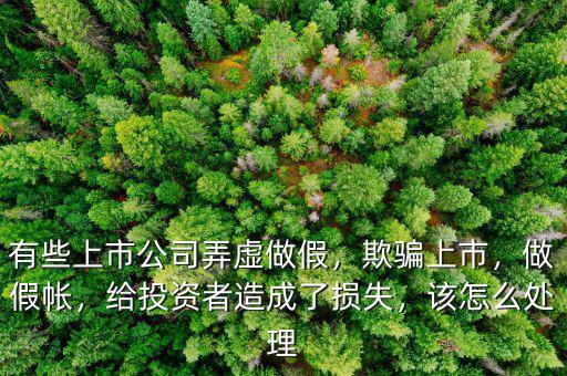 有些上市公司弄虛做假，欺騙上市，做假帳，給投資者造成了損失，該怎么處理