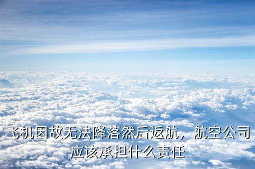 飛機(jī)因故無(wú)法降落然后返航，航空公司應(yīng)該承擔(dān)什么責(zé)任