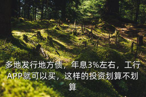 多地發(fā)行地方債，年息3%左右，工行APP就可以買，這樣的投資劃算不劃算