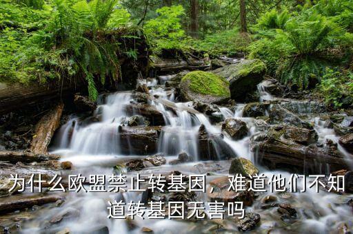 為什么歐盟禁止轉(zhuǎn)基因，難道他們不知道轉(zhuǎn)基因無害嗎