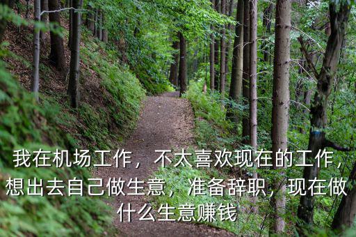 我在機(jī)場工作，不太喜歡現(xiàn)在的工作，想出去自己做生意，準(zhǔn)備辭職，現(xiàn)在做什么生意賺錢