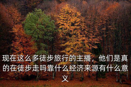 現(xiàn)在這么多徒步旅行的主播，他們是真的在徒步走嗎靠什么經(jīng)濟(jì)來源有什么意義