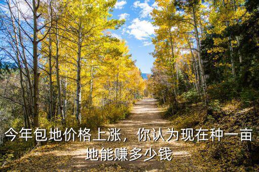種植青蒿一畝地能收入多少錢,種植稻田一畝地能掙多少錢