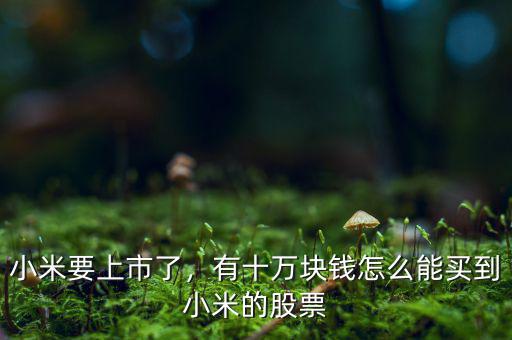 小米要上市了，有十萬塊錢怎么能買到小米的股票