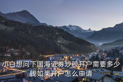 國(guó)海開戶怎么辦理,如果開戶怎么申請(qǐng)
