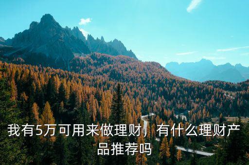 我有5萬(wàn)可用來(lái)做理財(cái)，有什么理財(cái)產(chǎn)品推薦嗎