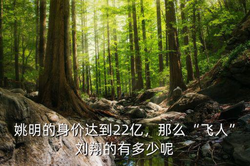 姚明的身價達(dá)到22億，那么“飛人”劉翔的有多少呢