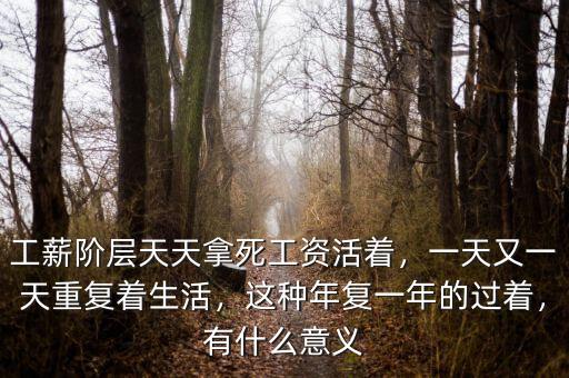工薪階層天天拿死工資活著，一天又一天重復(fù)著生活，這種年復(fù)一年的過著，有什么意義
