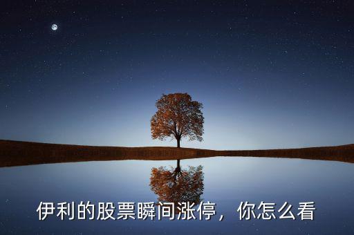 伊利的股票瞬間漲停，你怎么看