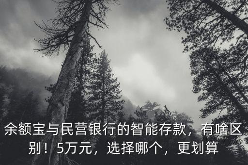 余額寶與民營銀行的智能存款，有啥區(qū)別！5萬元，選擇哪個，更劃算